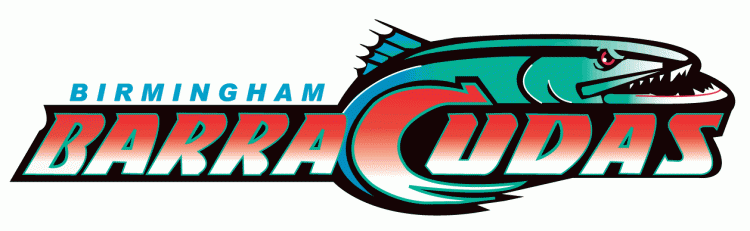 Birmingham Barracudas iron ons